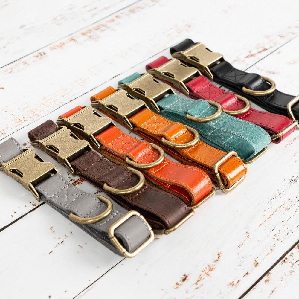 Scobby Leather Dog Collar Bouletta