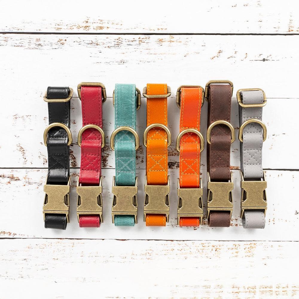 Scobby Leather Dog Collar Bouletta