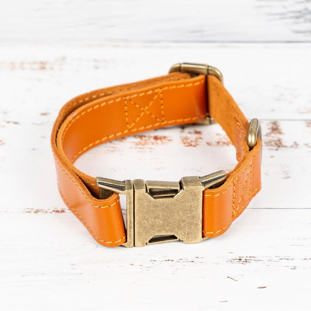 Scobby Leather Dog Collar Tan Bouletta