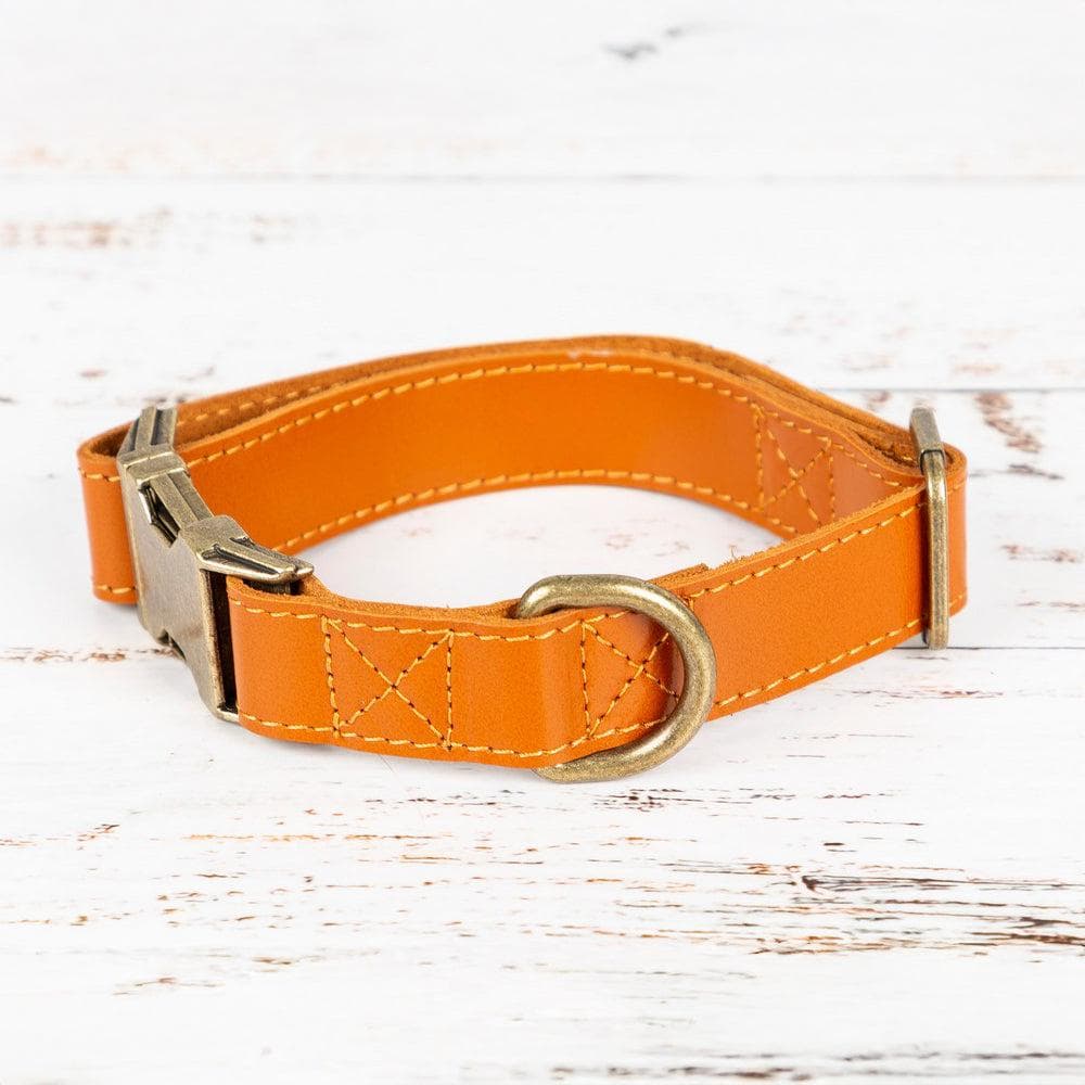 Scobby Leather Dog Collar Bouletta