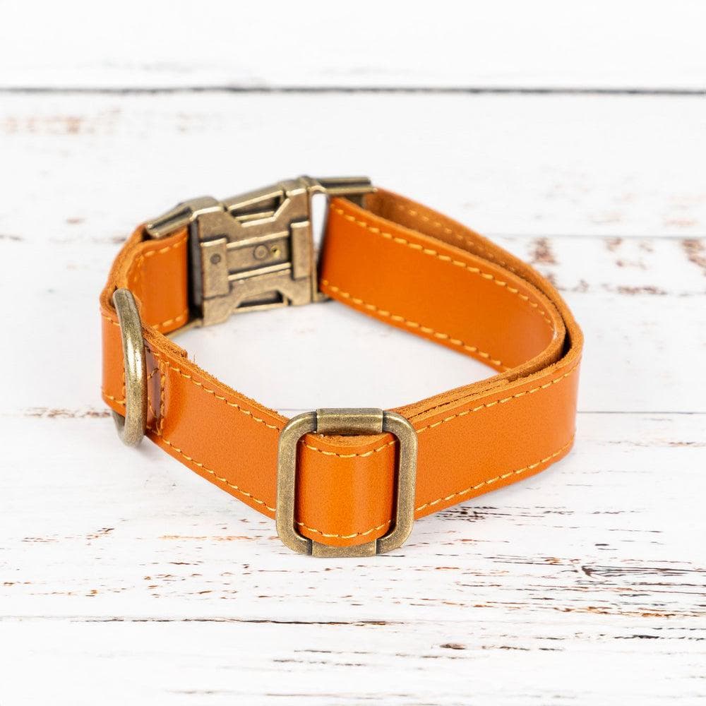 Scobby Leather Dog Collar Bouletta