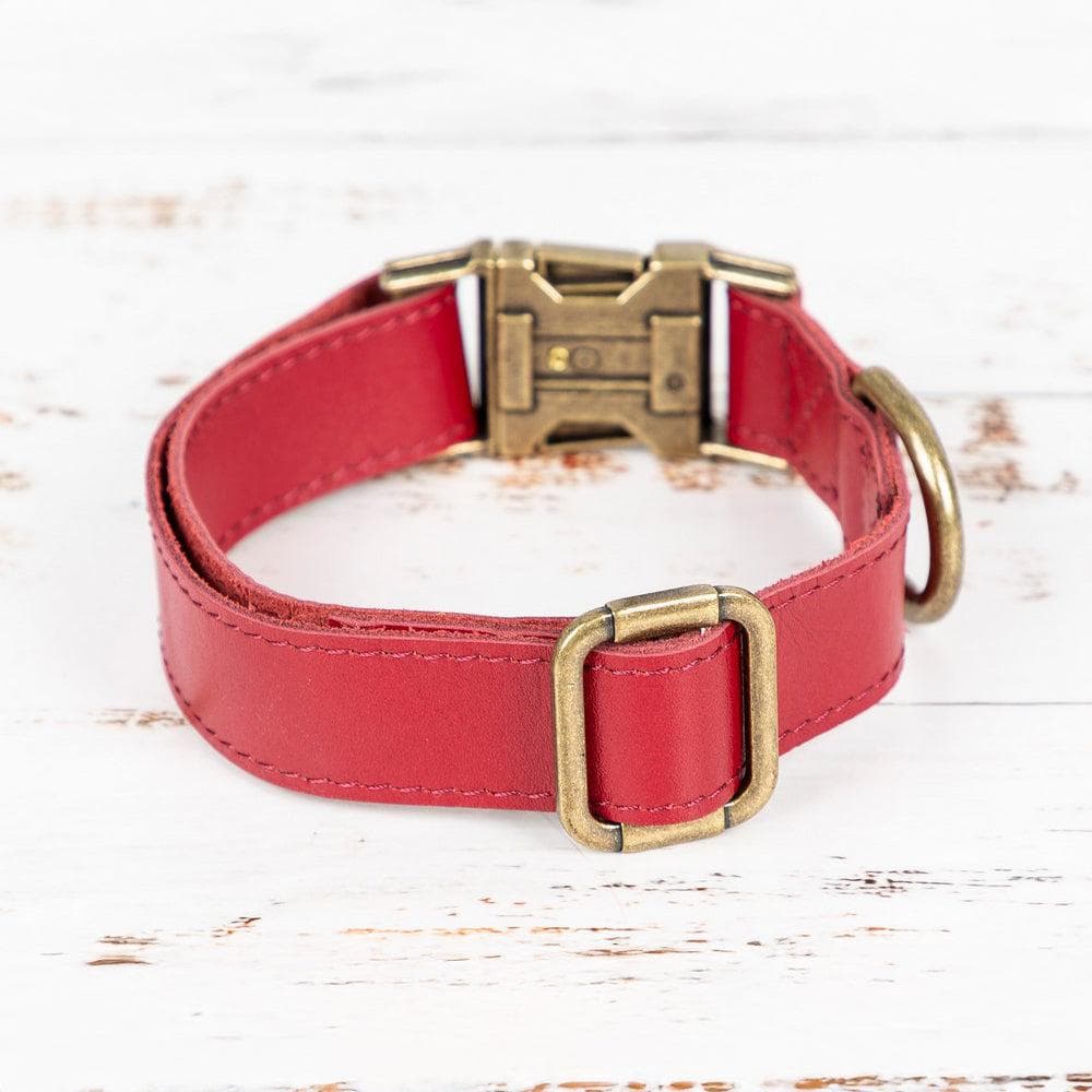 Scobby Leather Dog Collar Bouletta