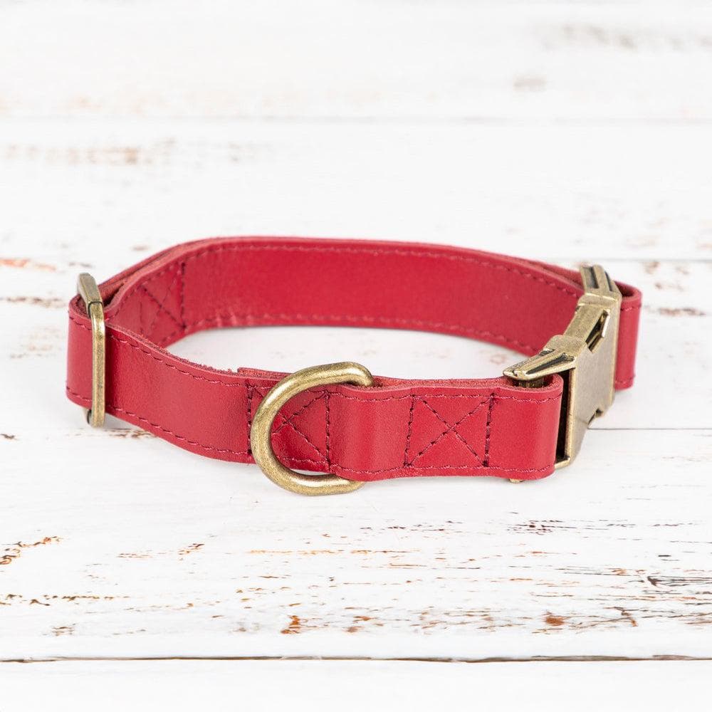 Scobby Leather Dog Collar Bouletta