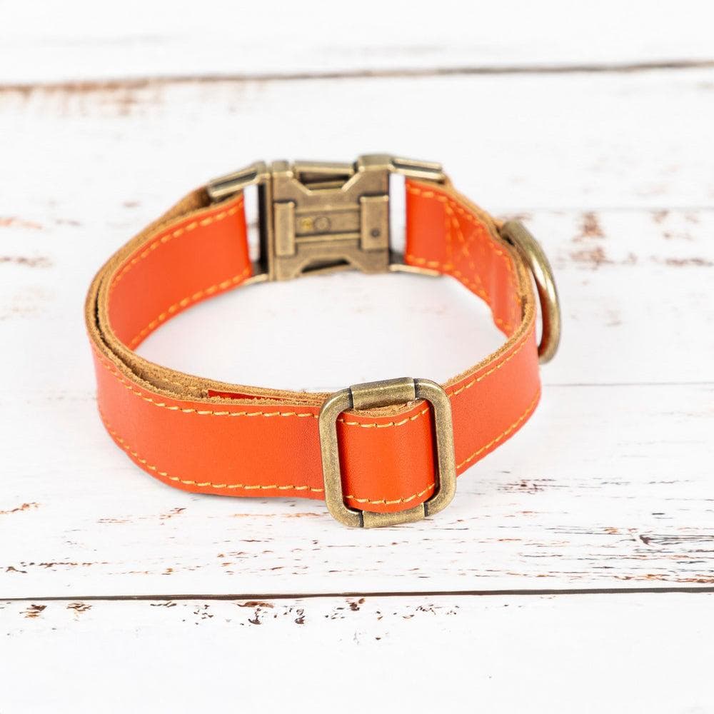 Scobby Leather Dog Collar Bouletta