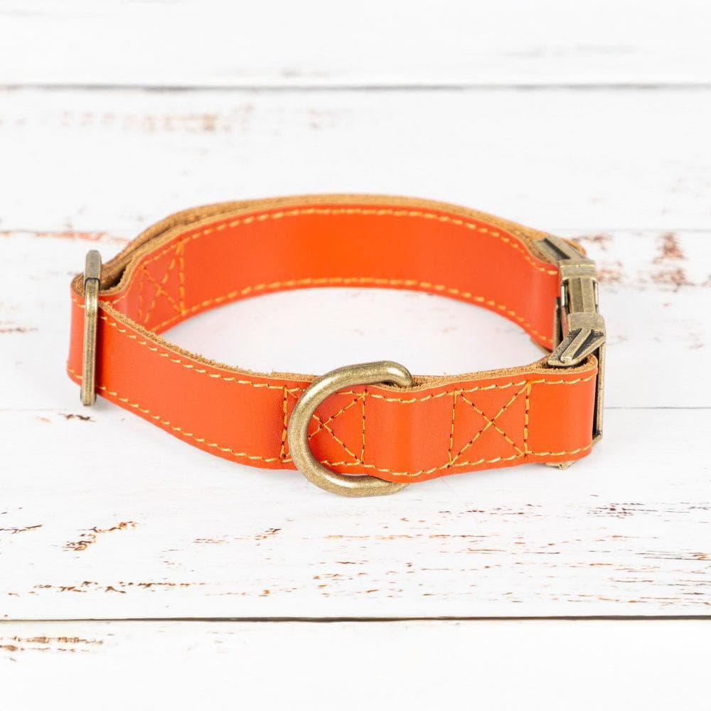 Scobby Leather Dog Collar Bouletta