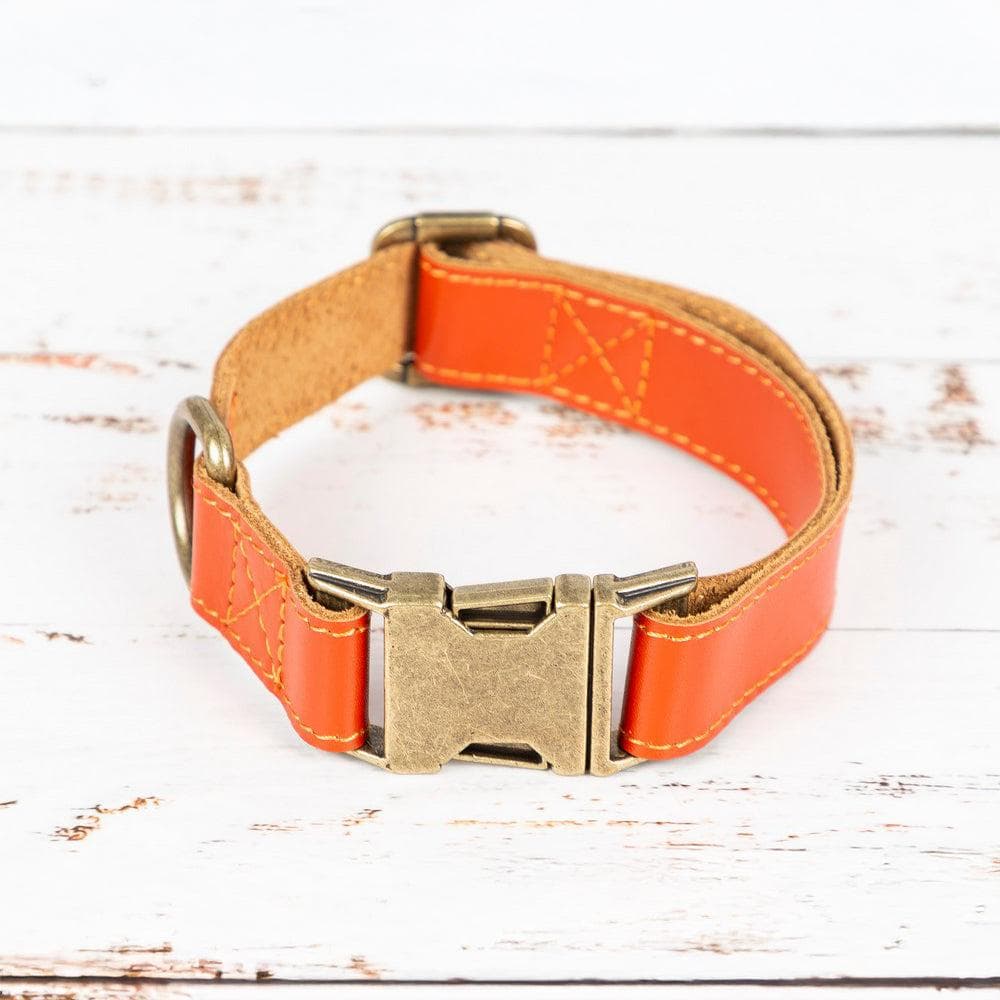 Scobby Leather Dog Collar Orange Bouletta