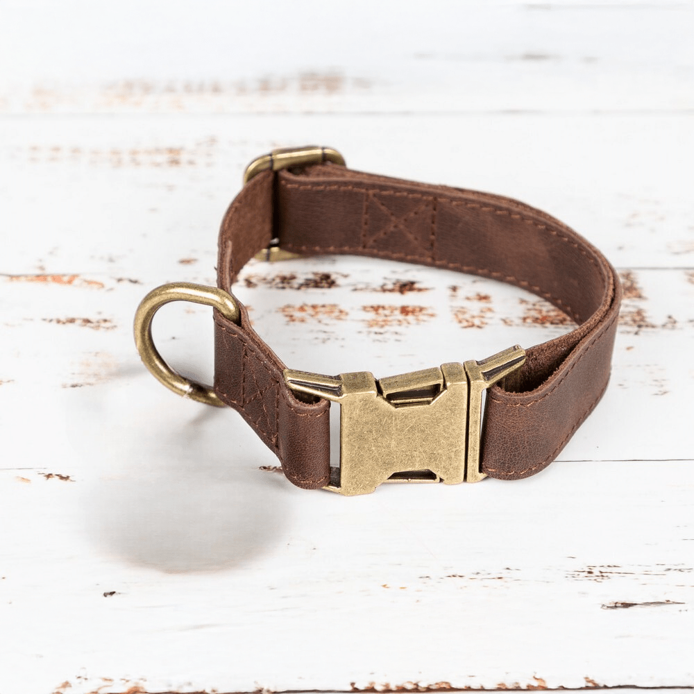 Scobby Leather Dog Collar Bouletta