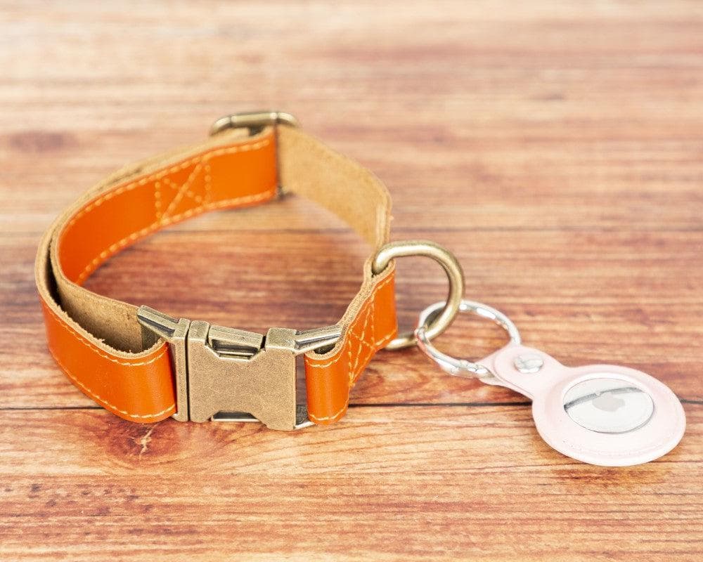 Scobby Leather Dog Collar - Orange