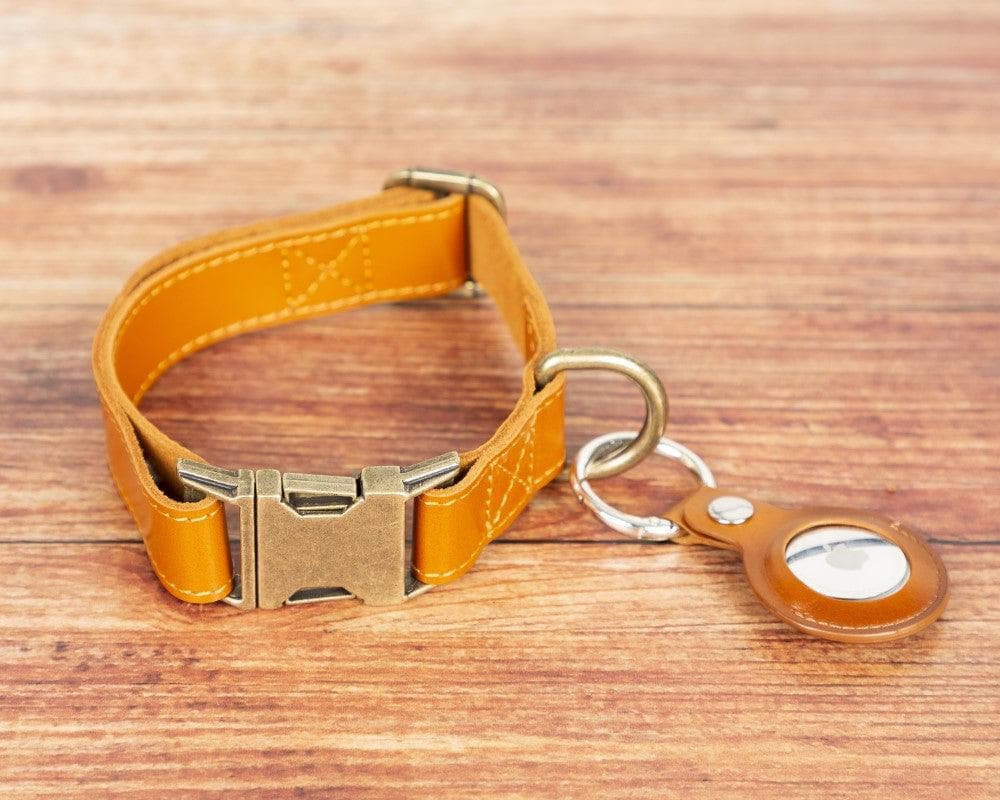 Scobby Leather Dog Collar - Tan