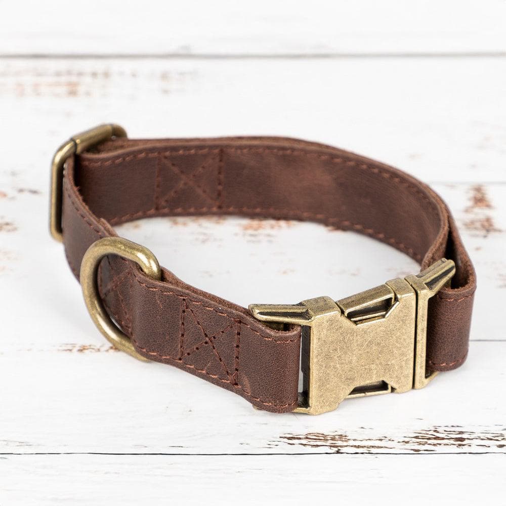 Scobby Leather Dog Collar Dark Brown Bouletta
