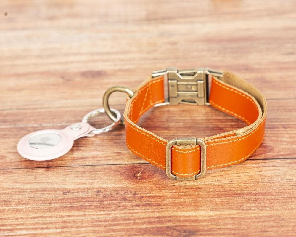 Scobby Leather Dog Collar - Orange Orange Bouletta