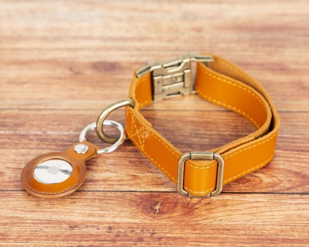 Scobby Leather Dog Collar - Orange Orange Bouletta