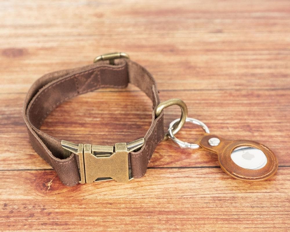 Scobby Leather Dog Collar - Tan Tan Bouletta